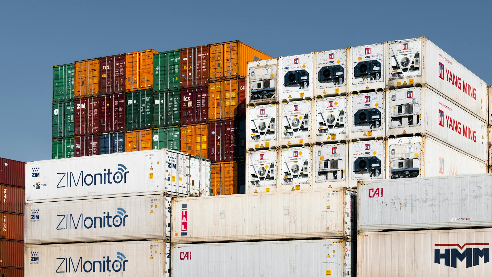 Supplier Dependency Risks